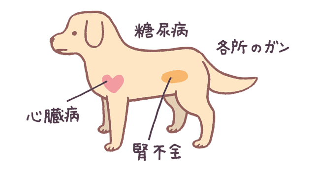 ペットの病気 セール 放置